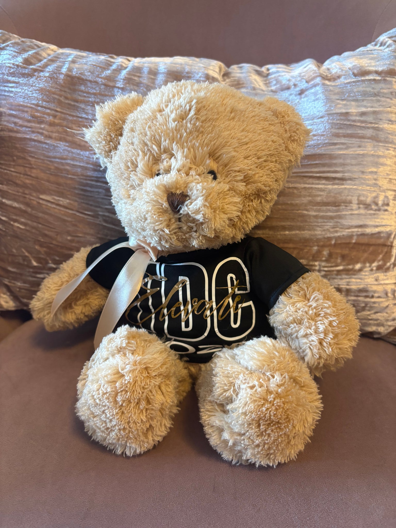 2025 TDC Bear