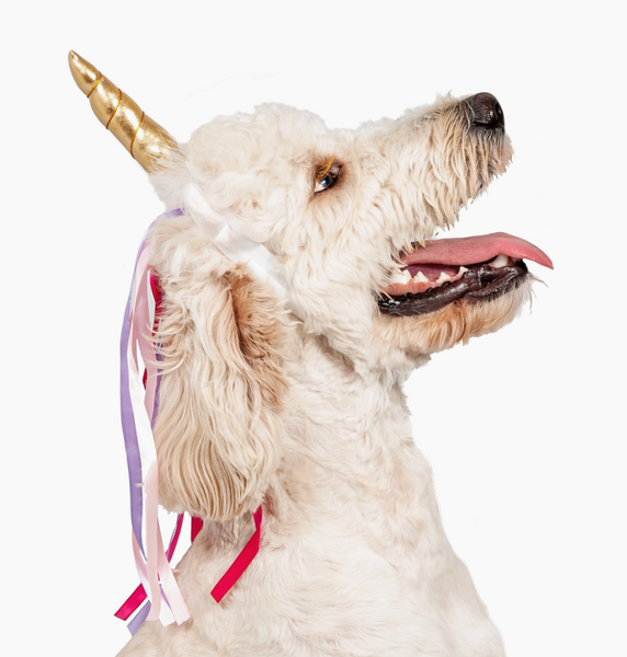 Dog Unicorn Headband Halloween Costume
