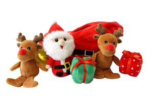 Santa Sleigh Find-A-Toy dog toy